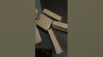 Bobby The Ragdoll #physics #ragdolls #falldamage #diy #cardboard #funny