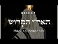 Hilula - Rabenú Ari Zal.
