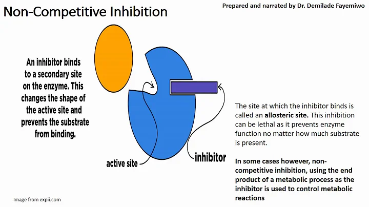 Chapter 3.3: Enzyme inhibition - Competitive and Non-Competitive Inhibition