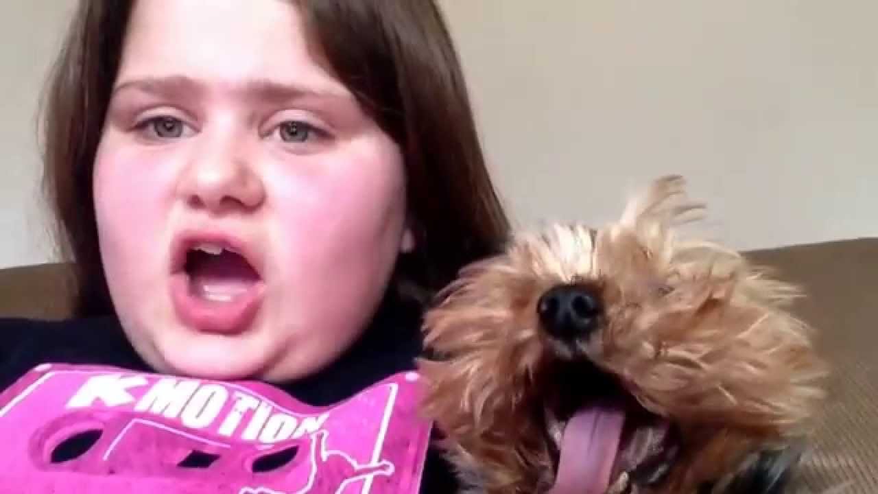 Funny dog video 