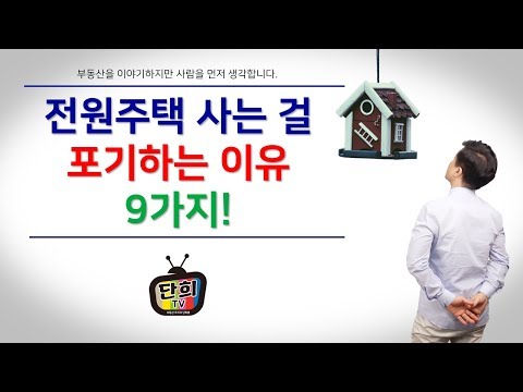 만26세자동차보험