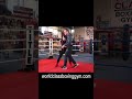 This skill helps you avoid punches while getting you into the perfect position for an inside attack.