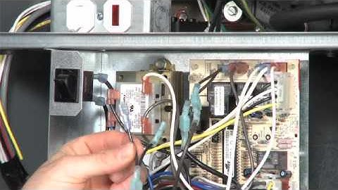 Evergreen Installation