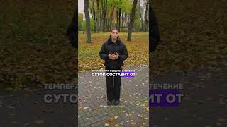 Сильный ветер и максимум до +12. Погода на 25-26 октября в Беларуси