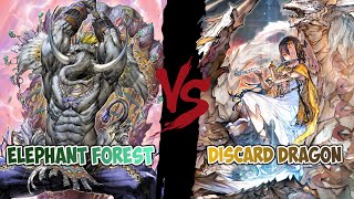 Elephant Forest VS Discard Dragon I BP04 I Shadowverse Evolve