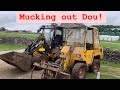 MUCKING OUT DOU! JCB 403 PLUS AND KRAMER ALLRAD 112 SL