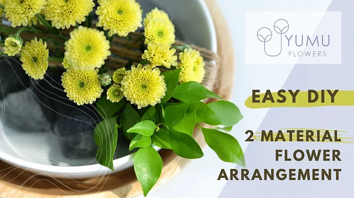 [中字] 只用两种花材就可以插花？How To Make: Easy 2 Material Flower Arrangement | YUMU Flowers 雨沐花房 - 天天要闻