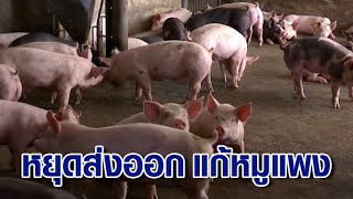 ก.เกษตรฯ เสนอหยุดส่งออกหมู คาด 4 เดือนราคาปกติ