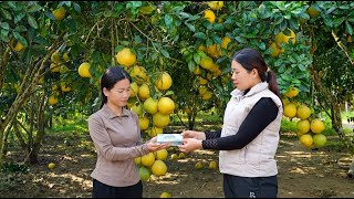 Han, who sells pomelos at the local market, meets a kind woman, and a miracle happens screenshot 4