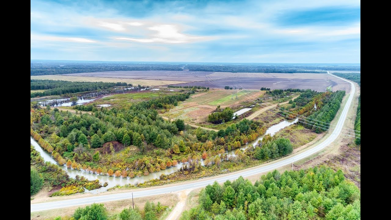 544 Acres Land for Sale Widener, St Francis County, AR YouTube