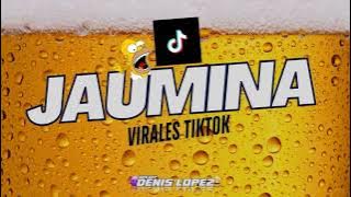 🍻​VIERNEES MAIIKII  KACHAKAS VIRALES TIKTOK VOL1 ❌​ (JAUMINAA ACAPELLAS) ❌​ DJ DENIS LOPEZ🍻​