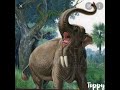 Elephant Sound Effects - Sound of elephant crying