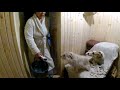 russian bathhouse with my dogs. cooking comfort winter food potatoes, fish. And cookie!