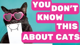 15 Awesome Things You DID NOT Know About Cats by Pet in the Net 85 views 7 months ago 4 minutes, 4 seconds