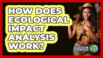 How Does Ecological Impact Analysis Work?