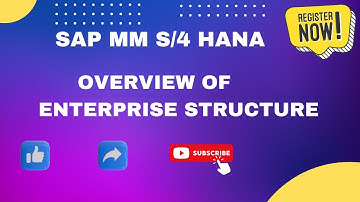 Overview of Enterprise structure in SAP MM S4 HANA|SAP MM Organization structure