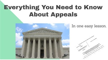 Everything You Need To Know About Appeals