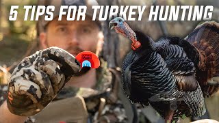 Turkey Hunting Public Land (5 Tips to Tag Out!)