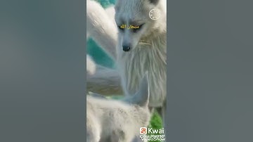 ماتيسر من سورة النمل (قل الحمد لله)