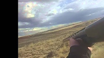 Slow-Mo Shooting Grouse out of the air gopro 12 gauge shotgun