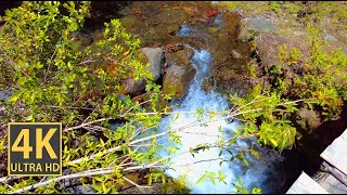 Hazy Mountain Creek 4K (With Ambient Nature Sounds And Music)