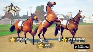احسن لعبة تربية خيال وسباقات في التاريخ اللعبة واقعية وجرافيك خرافي rival stars horse racing screenshot 5