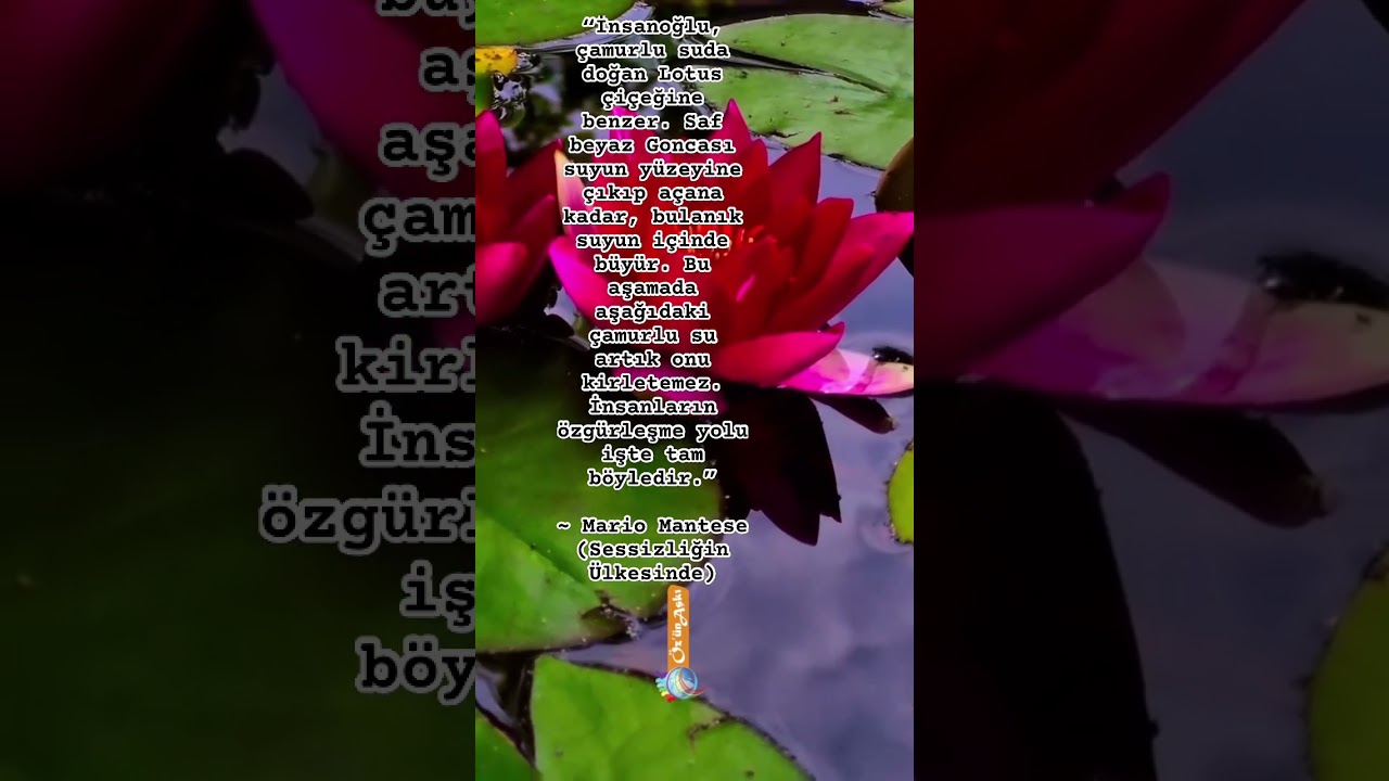 İnsanların özgürleşme yolu ~ Mario Mantese (Sessizliğin Ülkesinde)