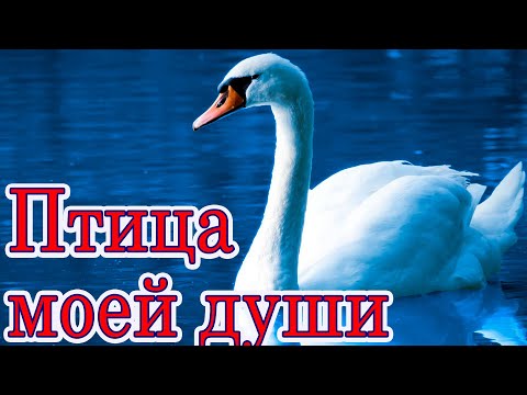 О души легкокрылая птица. Стихи христианские.