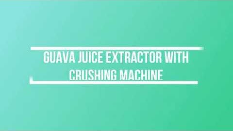 Guava Juice Extractor with Crushing Machine by Geeli Fabricators, Ahmedabad