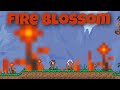 Terraria  tutorial on fireblossom and its seeds