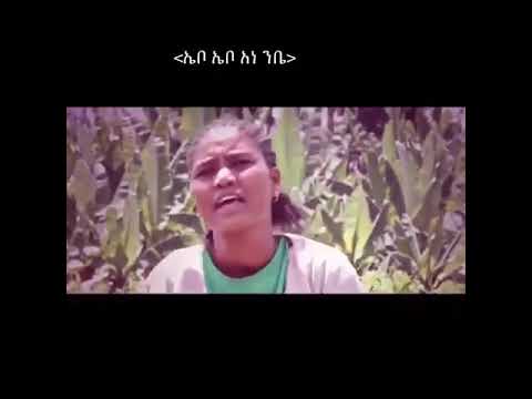 ኤቦ ኤቦ አነ ንቤ ዘማሪት ፀዳል አየለ ቡታጂራ ኢትዮጵያ