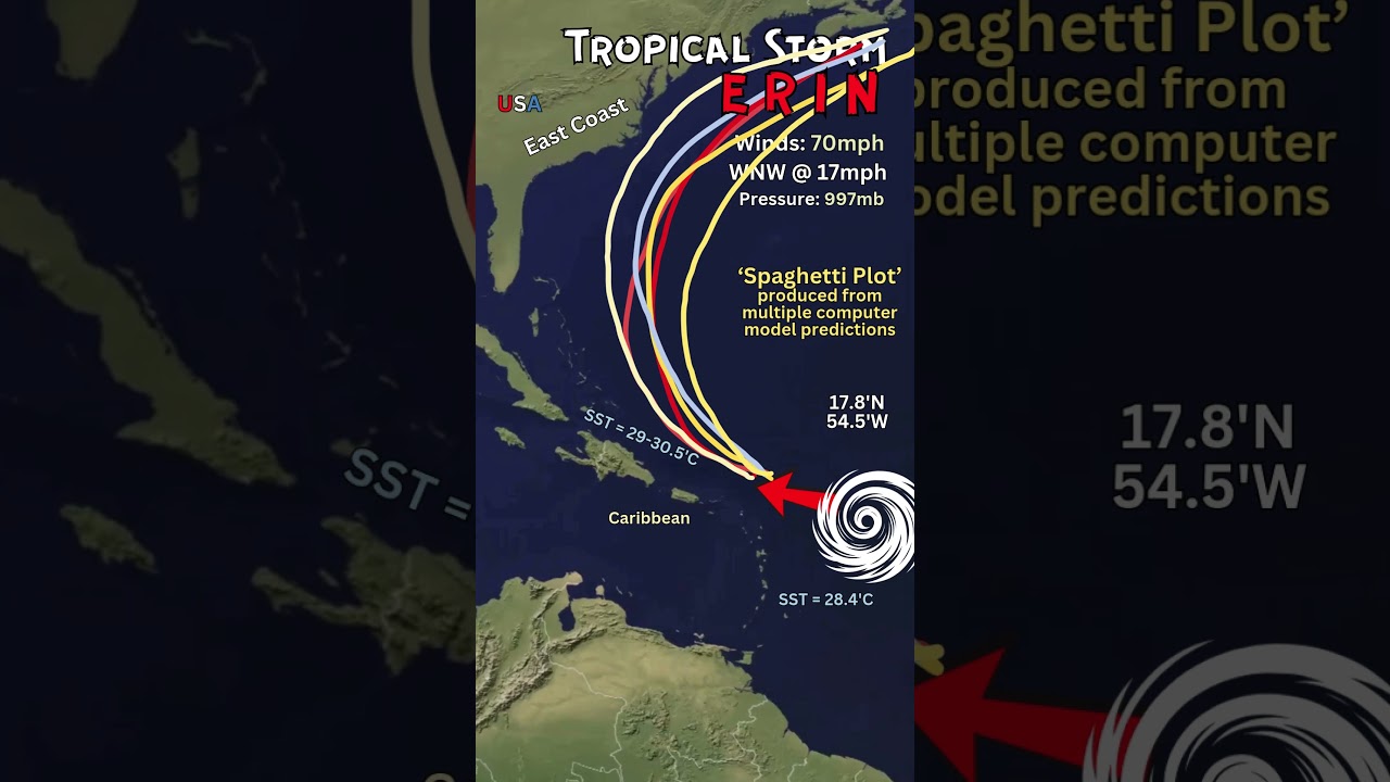洋楽 HUrricane / terms&deff nish'n(s) 089356b5b00df6d9df071da774b8c0