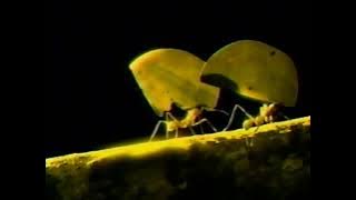 Sprint (2006) Television Commercial - NFL