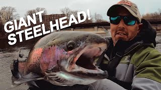 How to Steelhead Fish Great Lakes Rivers (GIANTS Caught!)