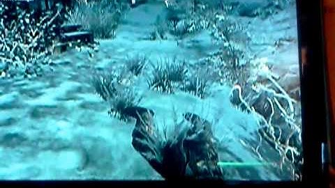 Skyrim Randomness part 2