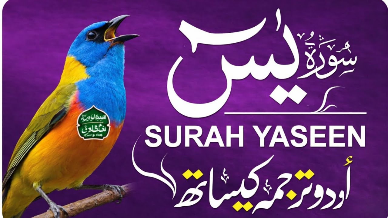 Surah Yasin (Yaseen) for Healing | Relieve Stress, Depression & Anxiety | سورة يس | 