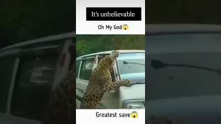 leopard attack🤯#leopard #attack #wildlife #photography #video #videography #shortsviral #viralshort
