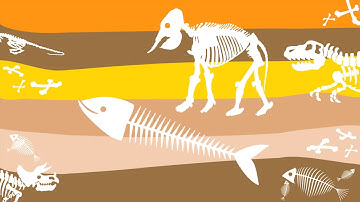 Upside Down Geological Column