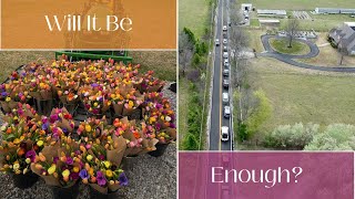 Can this rural flower farm stand meet the demand? 💐