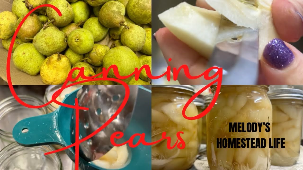 Canning Pears YouTube
