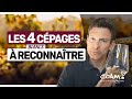 4 Cépages Blancs à FACILE à Reconnaître à L Aveugle mp3