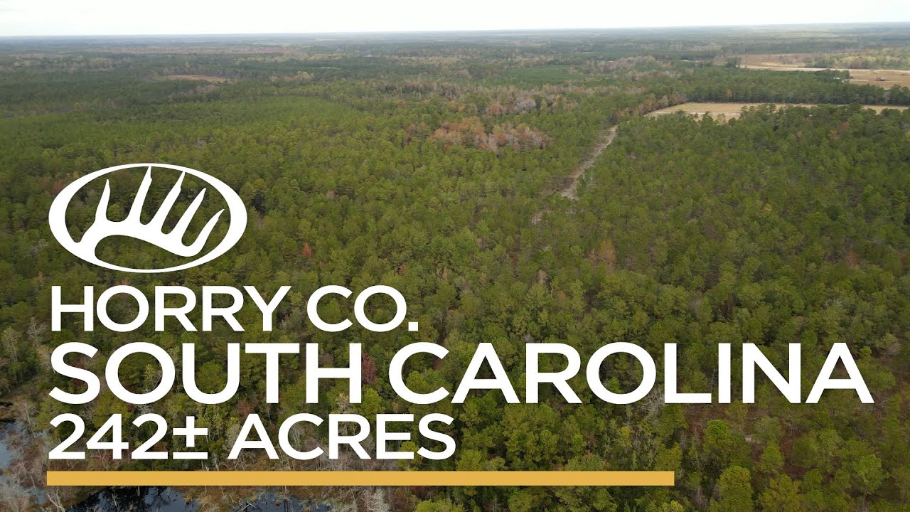 Horry County, SC 242± Acres
