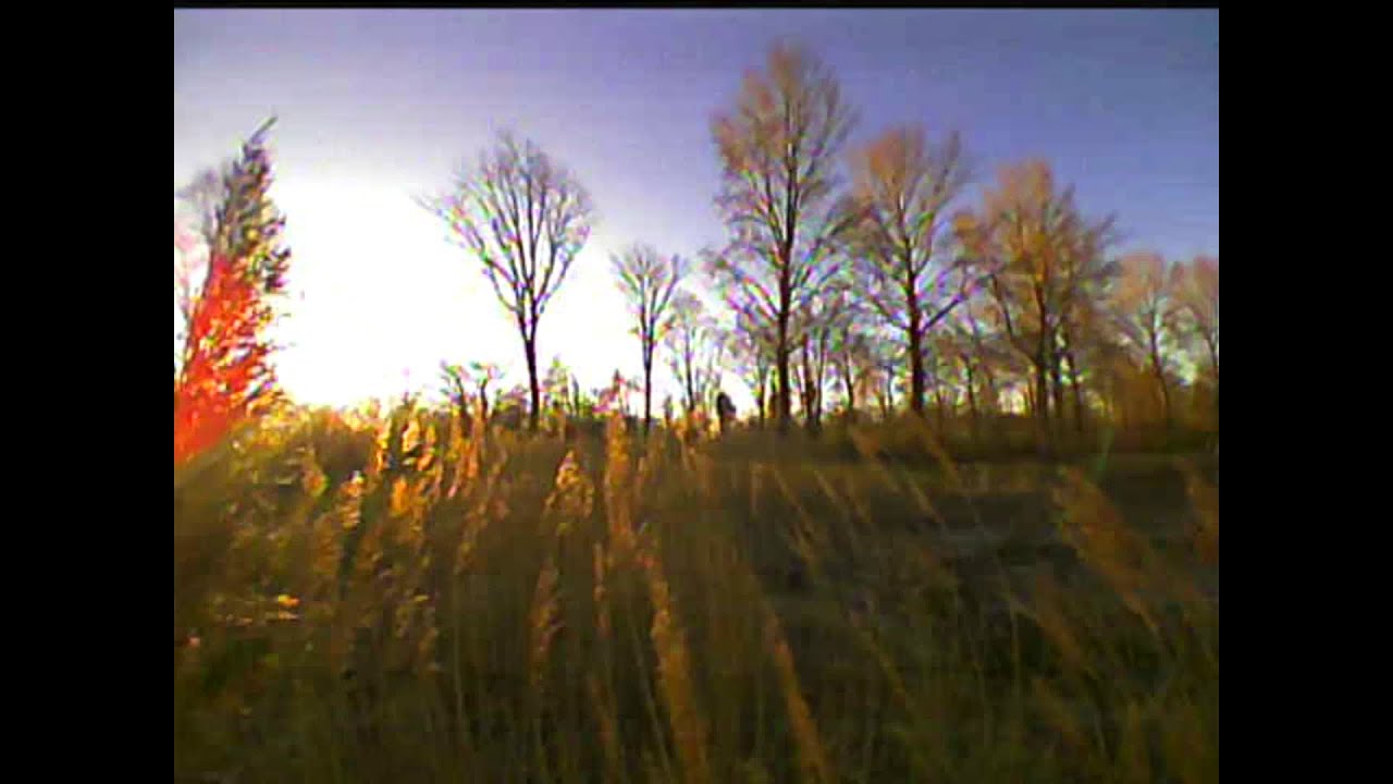 Tiny Whoop | park session