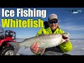 Ice Fishing Whitefish (The Complete Guide)