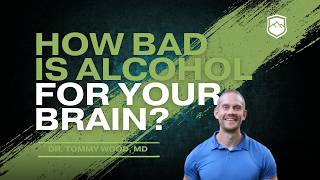 Is Zero Alcohol REALLY Best for Your Brain?