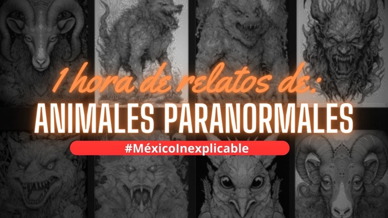 ESPECIAL 1 Hora ! Animales PARANORMALES