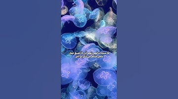 (فاستجاب لهم ربهم أني لا أضيع عمل عامل منكم من ذكر أو أنثى)-سورة-آل عمران-الآية[١٩٥]-القارئ_المنشاوي