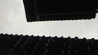 Deep Sleep Reflections with Soft Rainfall