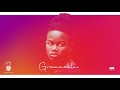 Sibu Nzuza - Grammable (Official Audio)