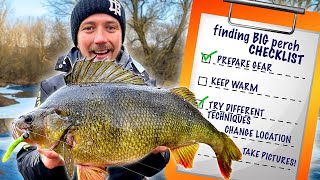 PERCH PURSUIT – MultiDay Hunt for GIANT Fish!